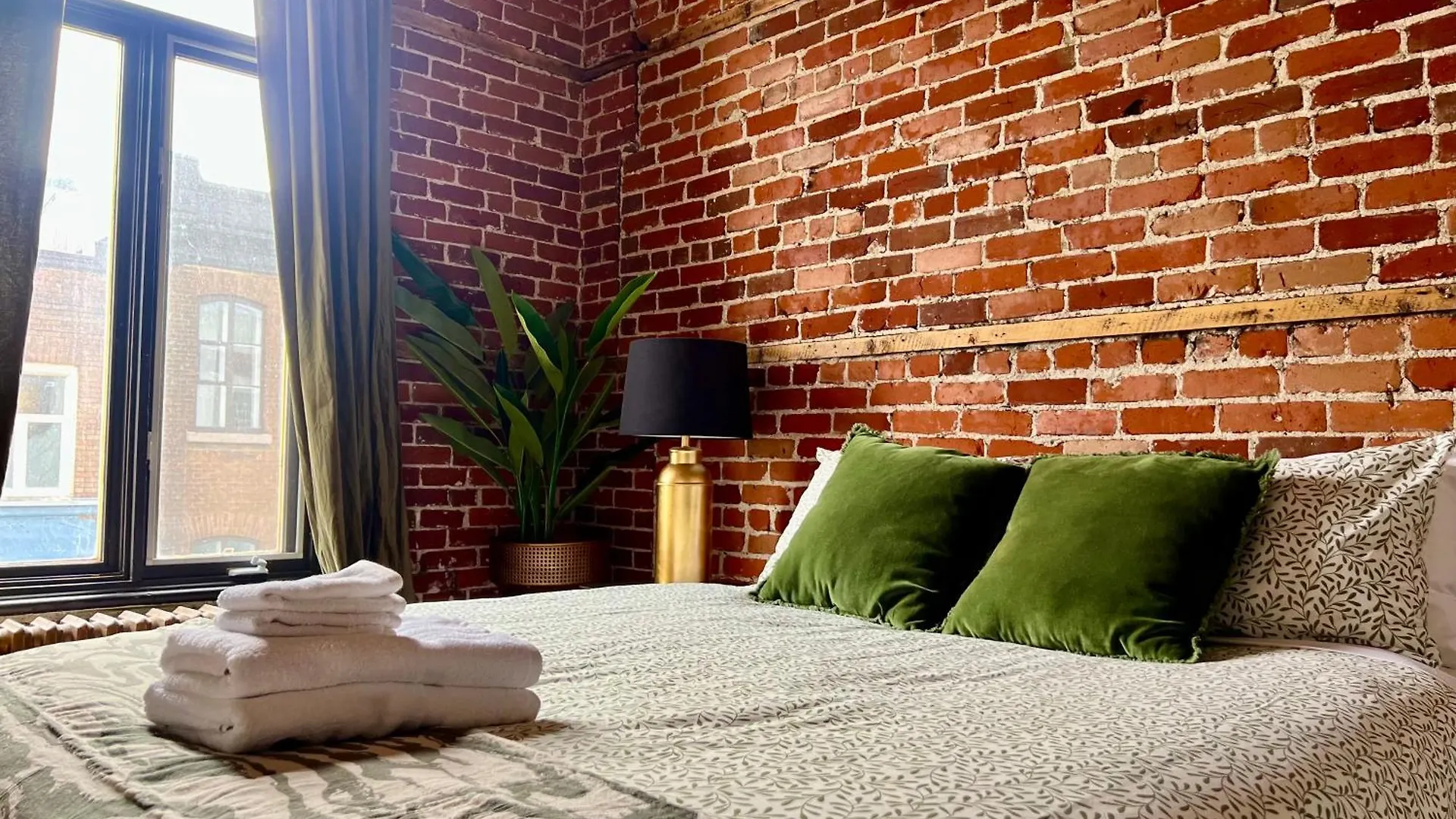 Le 224 - Appartements Pura Vida Ville de Québec